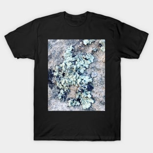 Lichen T-Shirt